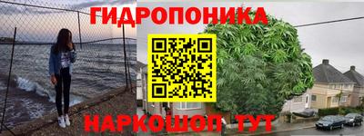 jwh Берёзовский