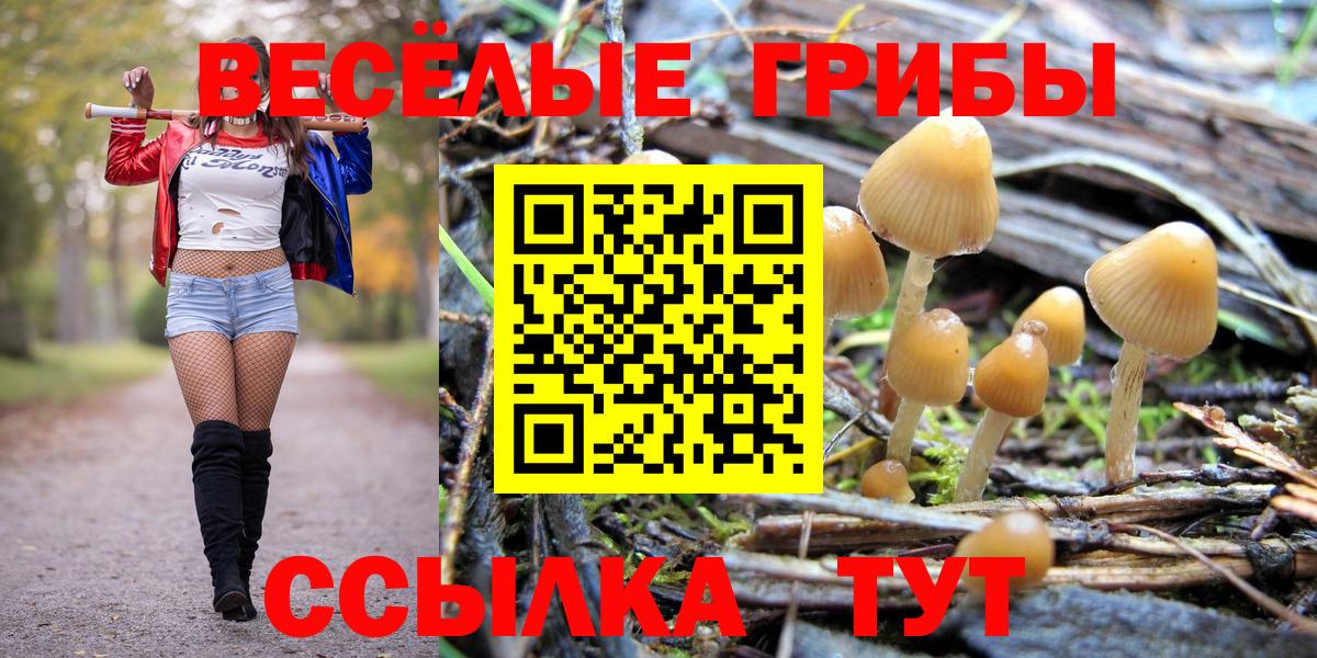 Псилоцибиновые грибы Magic Shrooms Карталы