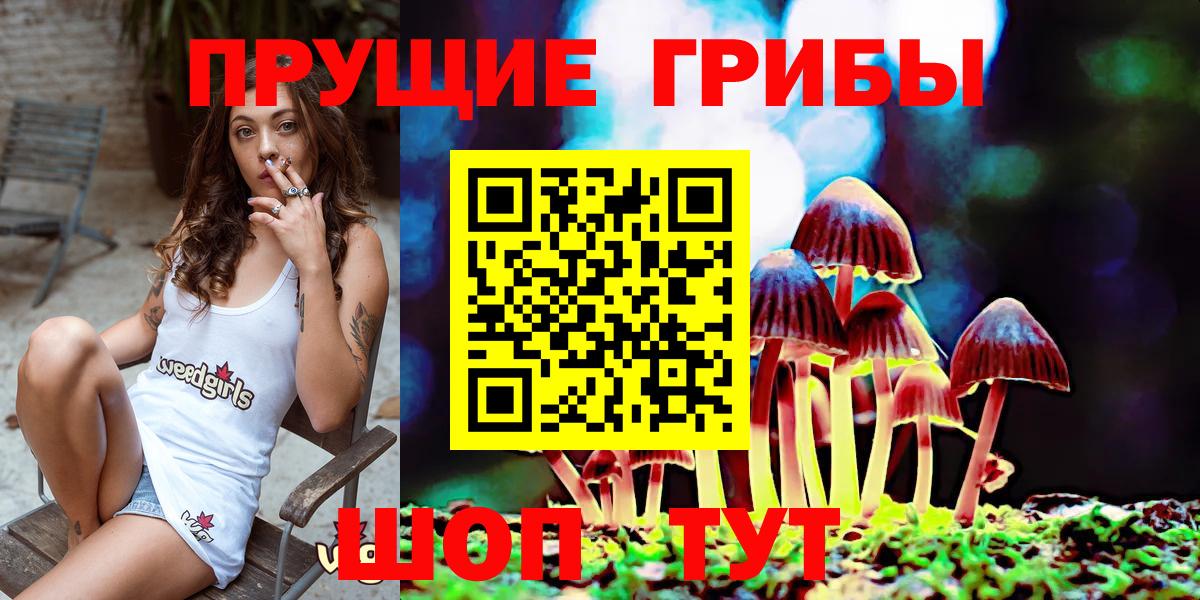 Карталы  Псилоцибиновые грибы прущие грибы  Псилоцибиновые грибы прущие грибы  Вход с VPN 